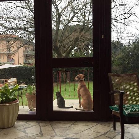 B&B Villa Acero マリーナ・ディ・カッラーラ エクステリア 写真