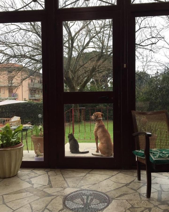 B&B Villa Acero マリーナ・ディ・カッラーラ エクステリア 写真
