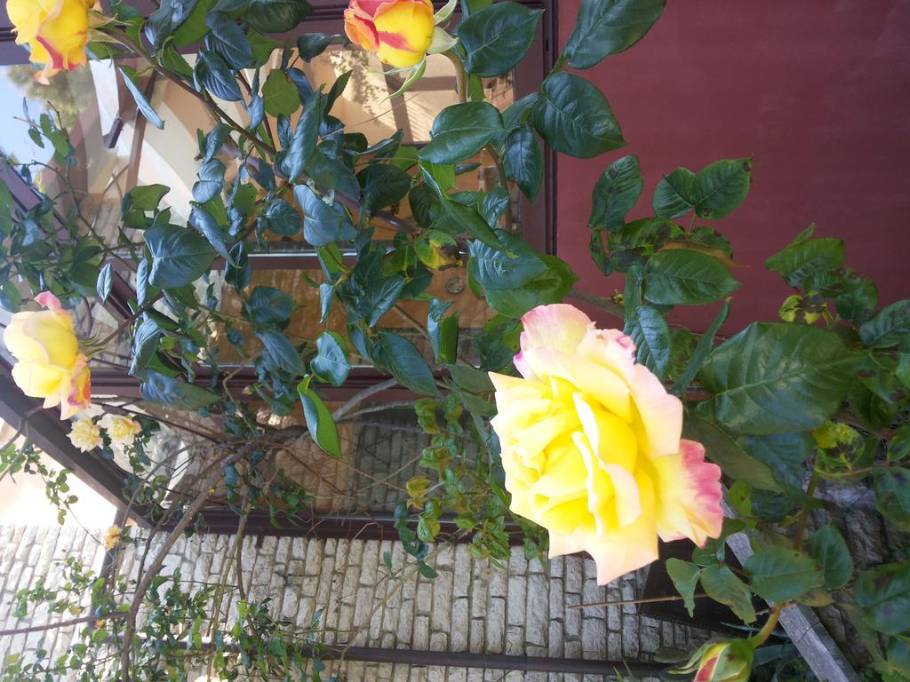 B&B Villa Acero マリーナ・ディ・カッラーラ エクステリア 写真